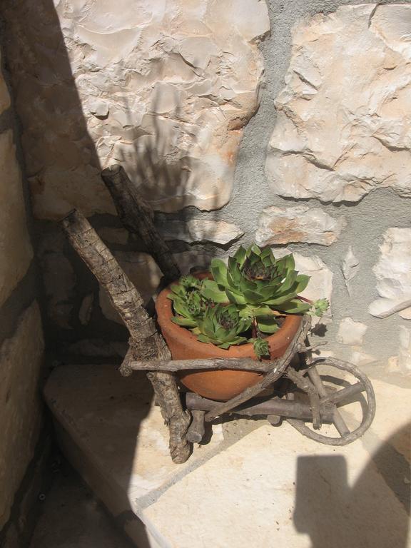 Apartment Baladur Umag Eksteriør bilde