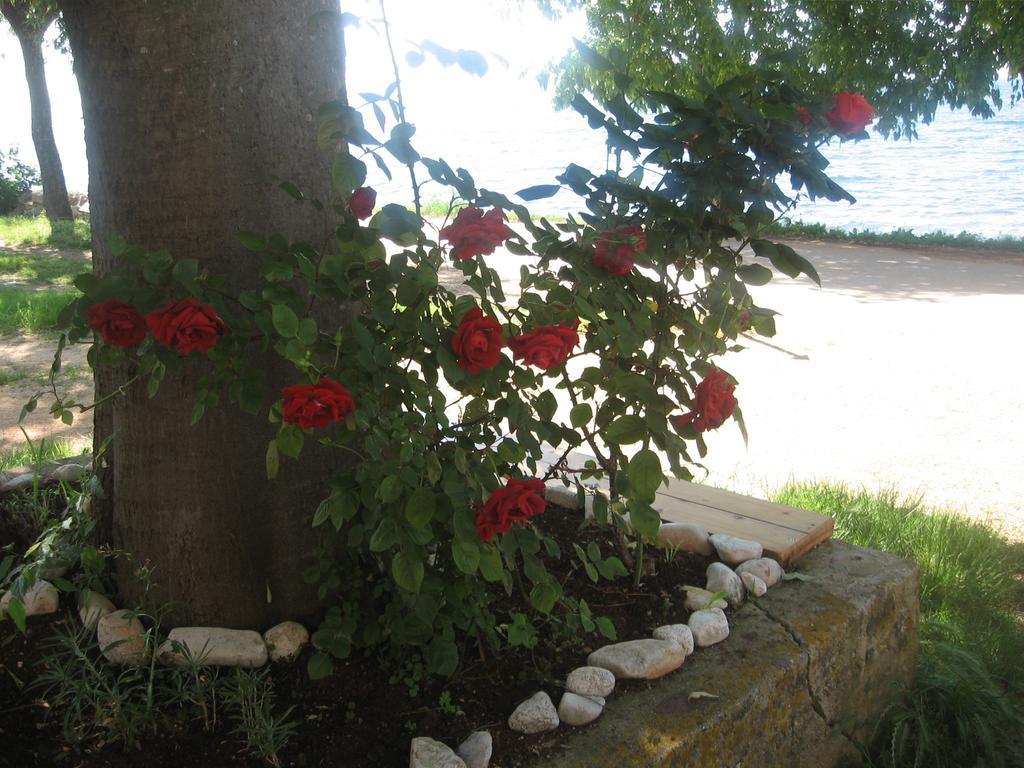 Apartment Baladur Umag Eksteriør bilde